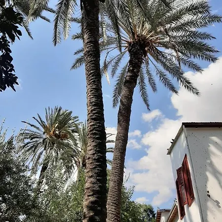 Palm Garden Nicosia