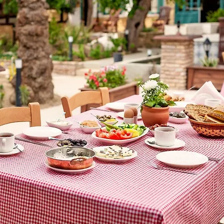 Palm Garden Bed and breakfast