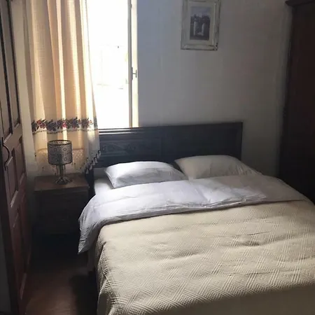 Bed and breakfast Palm Garden