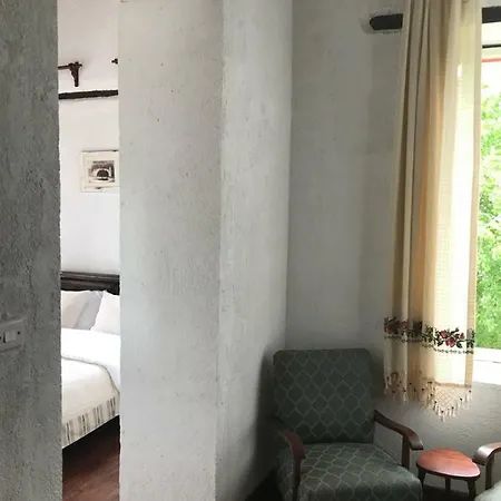 Palm Garden Bed and breakfast 3*